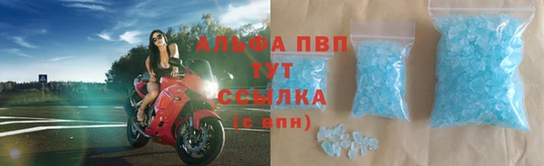 ПСИЛОЦИБИНОВЫЕ ГРИБЫ Беломорск