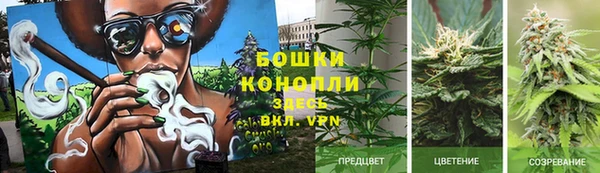 ПСИЛОЦИБИНОВЫЕ ГРИБЫ Беломорск