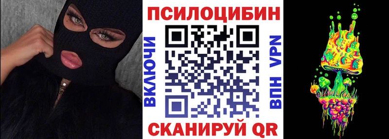 omg   Верещагино  Псилоцибиновые грибы Psilocybe  как найти наркотики 